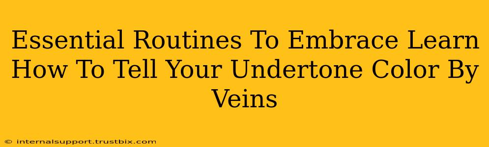 Essential Routines To Embrace Learn How To Tell Your Undertone Color By Veins