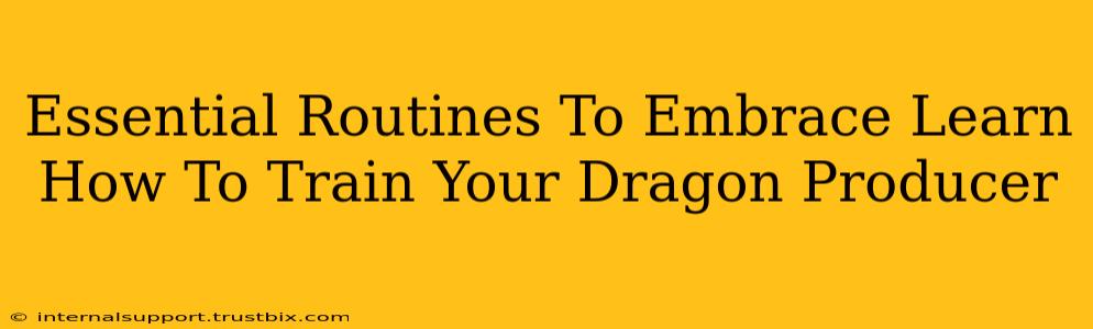 Essential Routines To Embrace Learn How To Train Your Dragon Producer