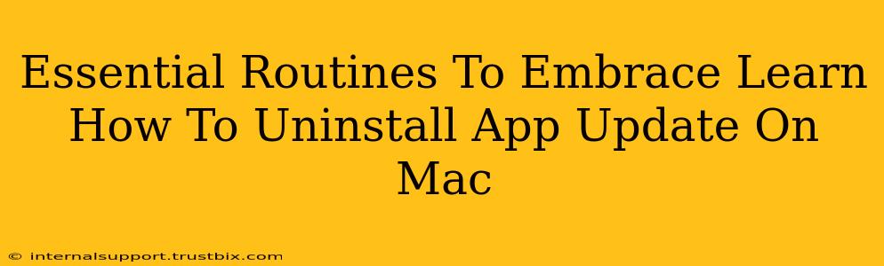 Essential Routines To Embrace Learn How To Uninstall App Update On Mac