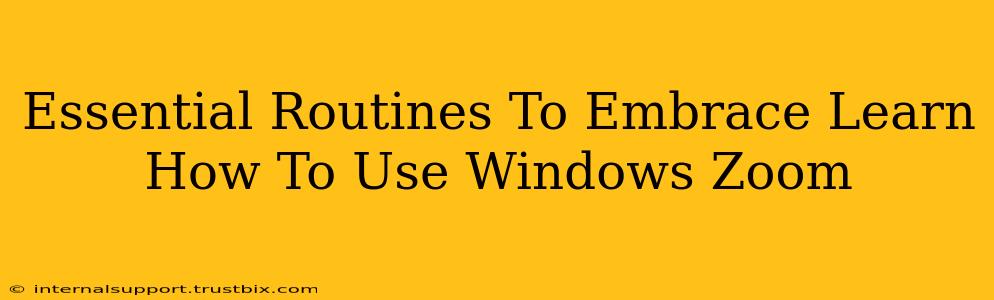 Essential Routines To Embrace Learn How To Use Windows Zoom