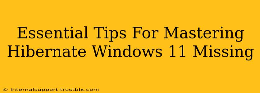 Essential Tips For Mastering Hibernate Windows 11 Missing