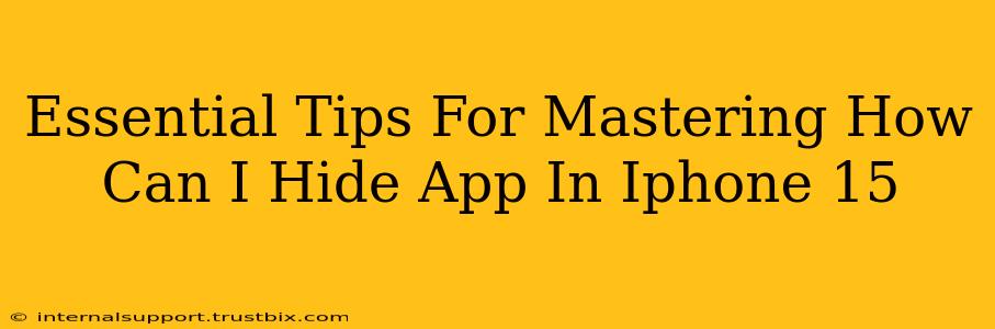 Essential Tips For Mastering How Can I Hide App In Iphone 15