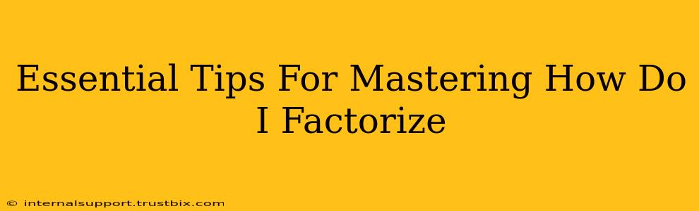 Essential Tips For Mastering How Do I Factorize