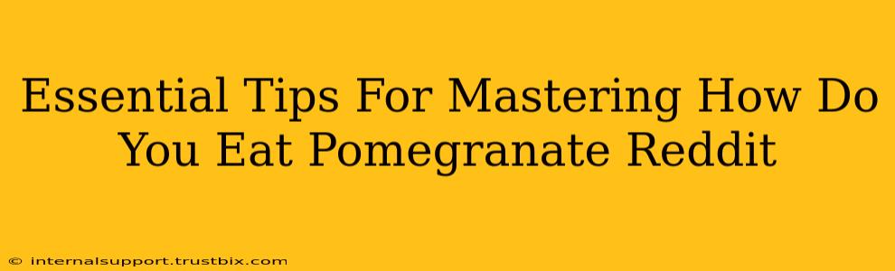 Essential Tips For Mastering How Do You Eat Pomegranate Reddit