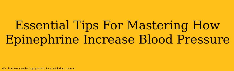 Essential Tips For Mastering How Epinephrine Increase Blood Pressure