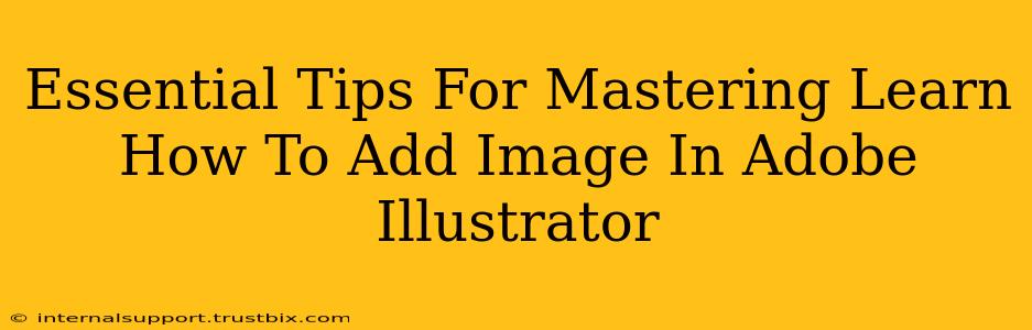 Essential Tips For Mastering Learn How To Add Image In Adobe Illustrator