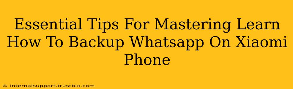 Essential Tips For Mastering Learn How To Backup Whatsapp On Xiaomi Phone