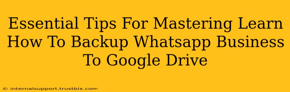 Essential Tips For Mastering Learn How To Backup Whatsapp Business To Google Drive