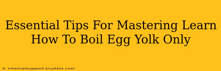 Essential Tips For Mastering Learn How To Boil Egg Yolk Only