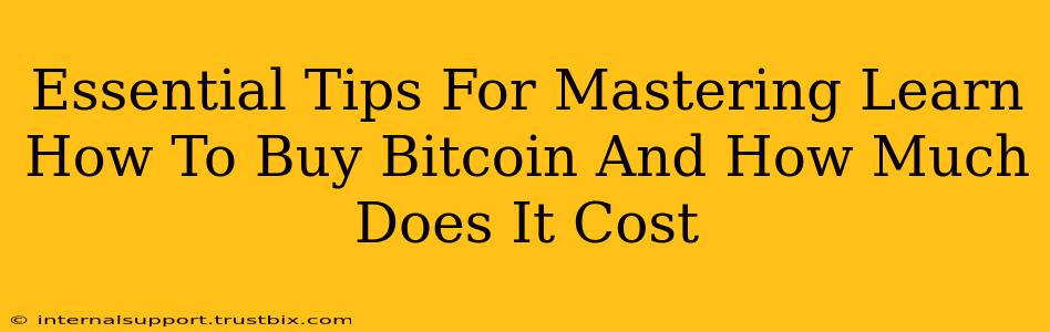 Essential Tips For Mastering Learn How To Buy Bitcoin And How Much Does It Cost