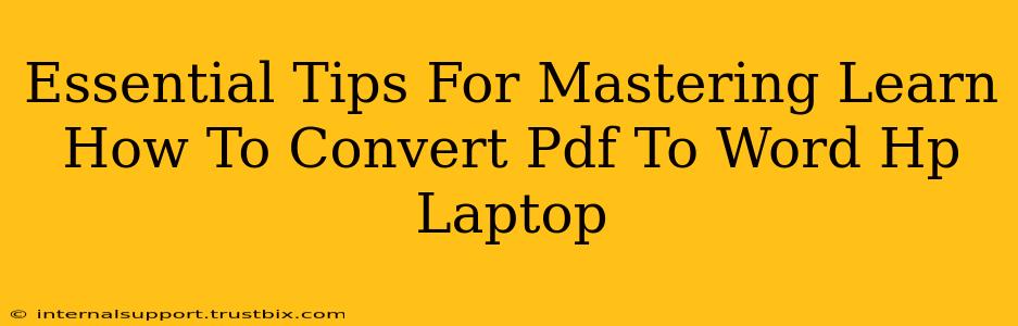 Essential Tips For Mastering Learn How To Convert Pdf To Word Hp Laptop