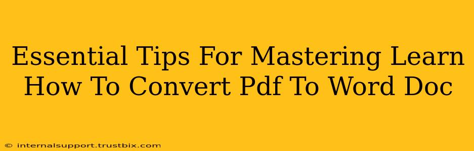 Essential Tips For Mastering Learn How To Convert Pdf To Word Doc