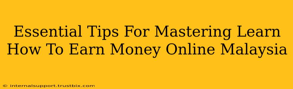 Essential Tips For Mastering Learn How To Earn Money Online Malaysia