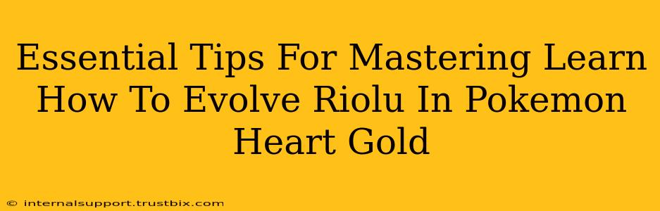 Essential Tips For Mastering Learn How To Evolve Riolu In Pokemon Heart Gold