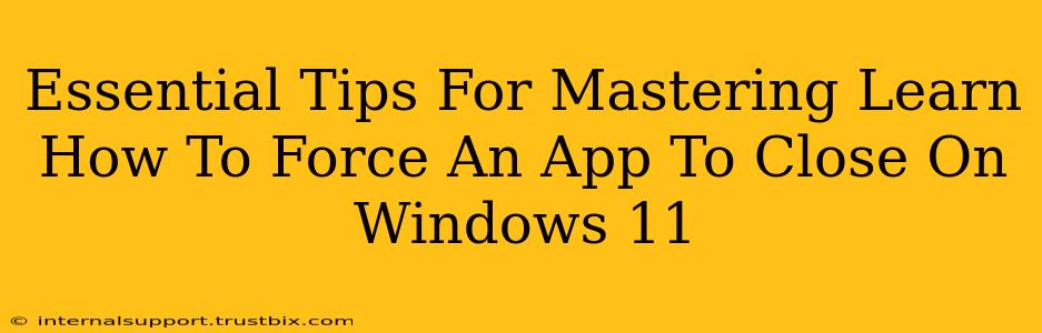 Essential Tips For Mastering Learn How To Force An App To Close On Windows 11