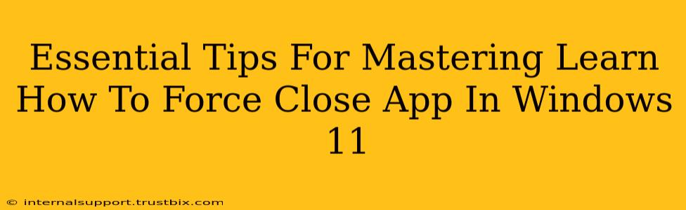 Essential Tips For Mastering Learn How To Force Close App In Windows 11