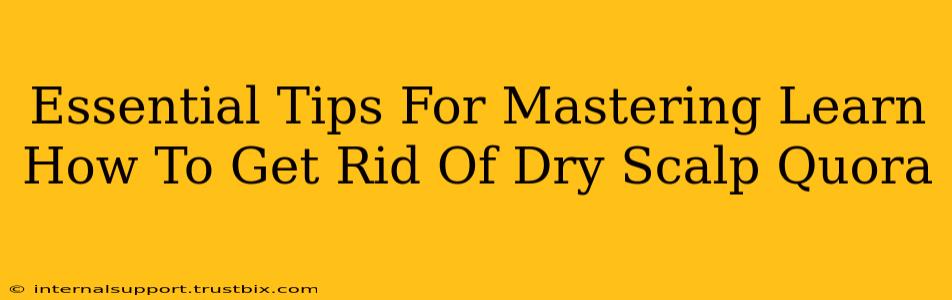 Essential Tips For Mastering Learn How To Get Rid Of Dry Scalp Quora