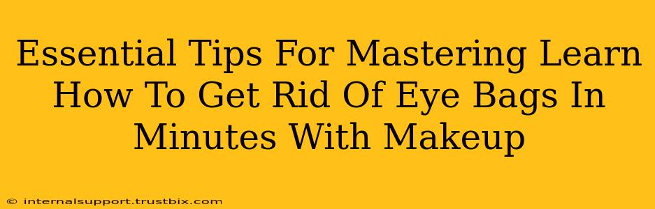 Essential Tips For Mastering Learn How To Get Rid Of Eye Bags In Minutes With Makeup