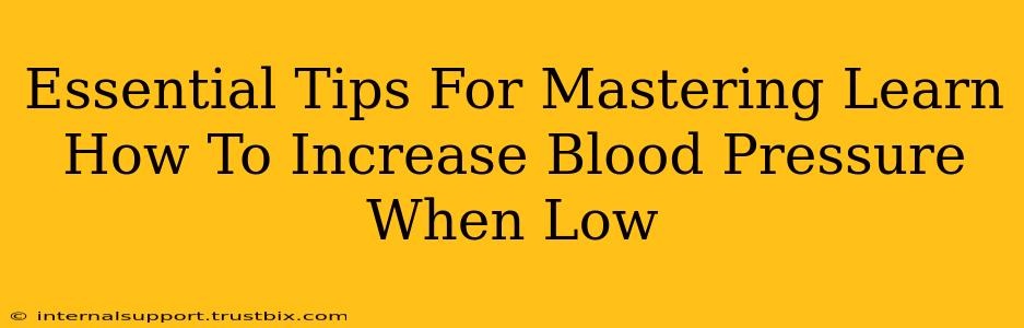 Essential Tips For Mastering Learn How To Increase Blood Pressure When Low