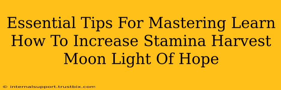 Essential Tips For Mastering Learn How To Increase Stamina Harvest Moon Light Of Hope