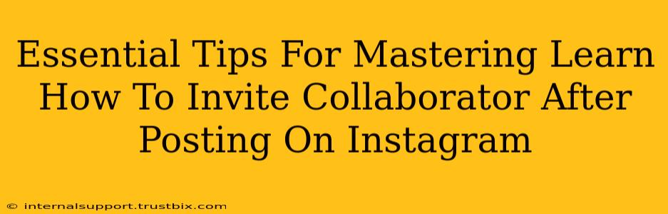 Essential Tips For Mastering Learn How To Invite Collaborator After Posting On Instagram