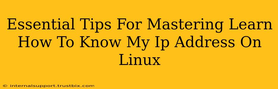 Essential Tips For Mastering Learn How To Know My Ip Address On Linux