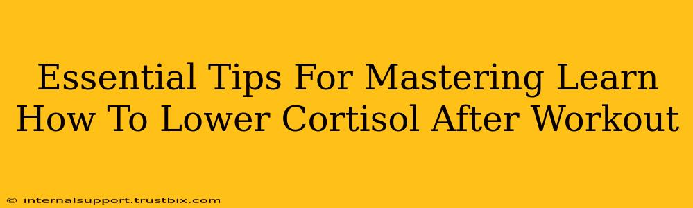 Essential Tips For Mastering Learn How To Lower Cortisol After Workout