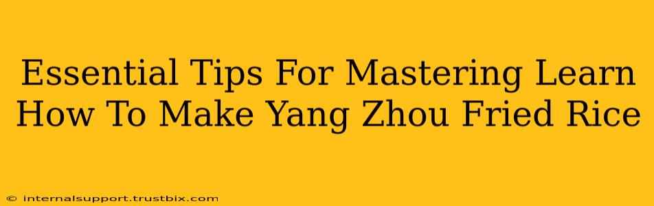 Essential Tips For Mastering Learn How To Make Yang Zhou Fried Rice