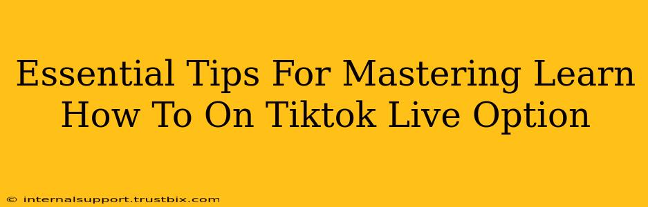 Essential Tips For Mastering Learn How To On Tiktok Live Option