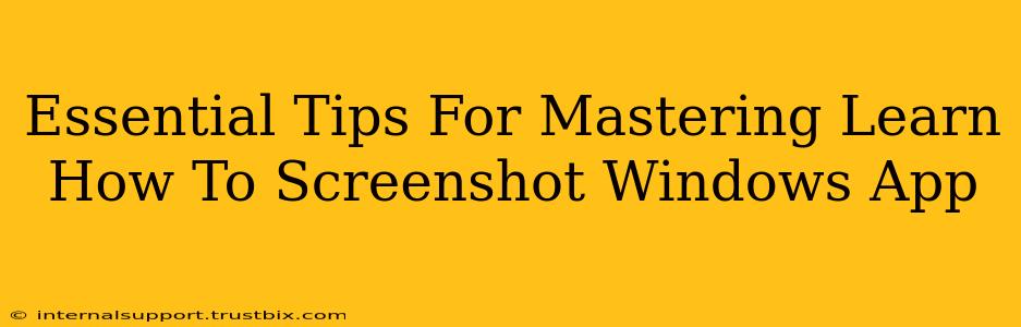 Essential Tips For Mastering Learn How To Screenshot Windows App