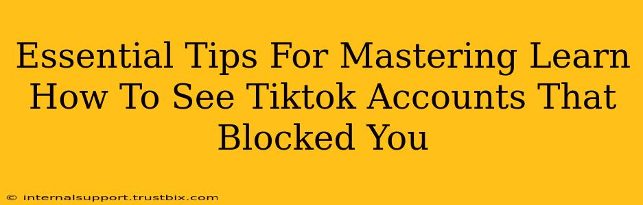 Essential Tips For Mastering Learn How To See Tiktok Accounts That Blocked You