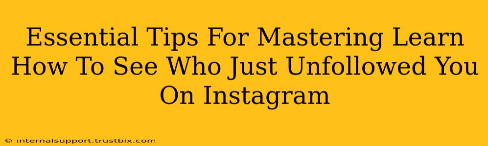 Essential Tips For Mastering Learn How To See Who Just Unfollowed You On Instagram