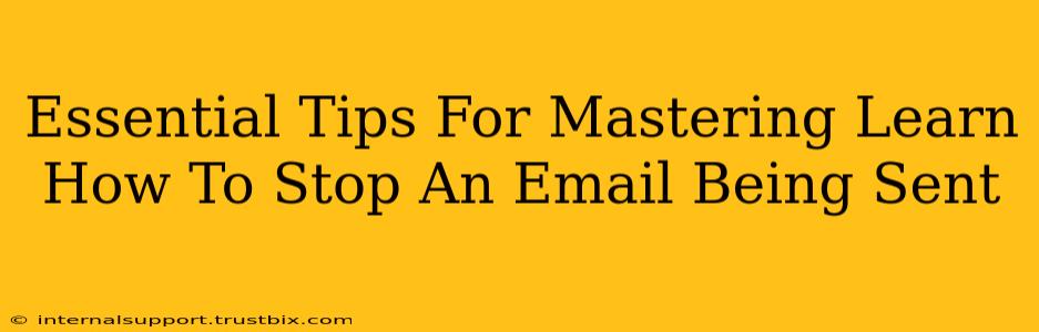 Essential Tips For Mastering Learn How To Stop An Email Being Sent