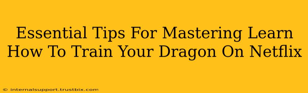 Essential Tips For Mastering Learn How To Train Your Dragon On Netflix