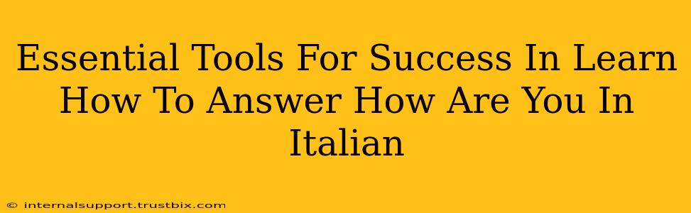 Essential Tools For Success In Learn How To Answer How Are You In Italian