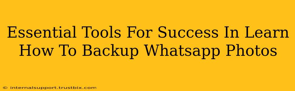 Essential Tools For Success In Learn How To Backup Whatsapp Photos