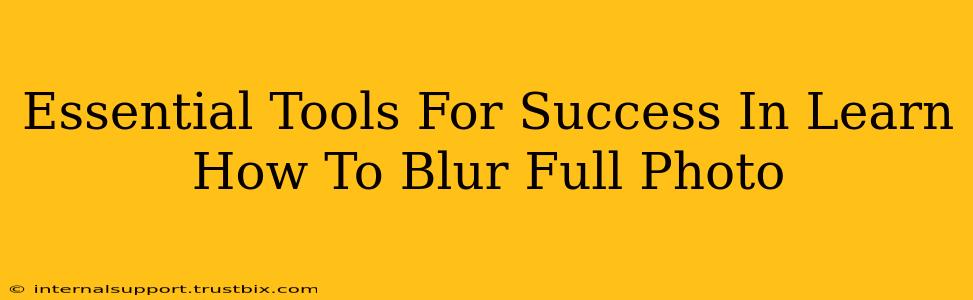 Essential Tools For Success In Learn How To Blur Full Photo