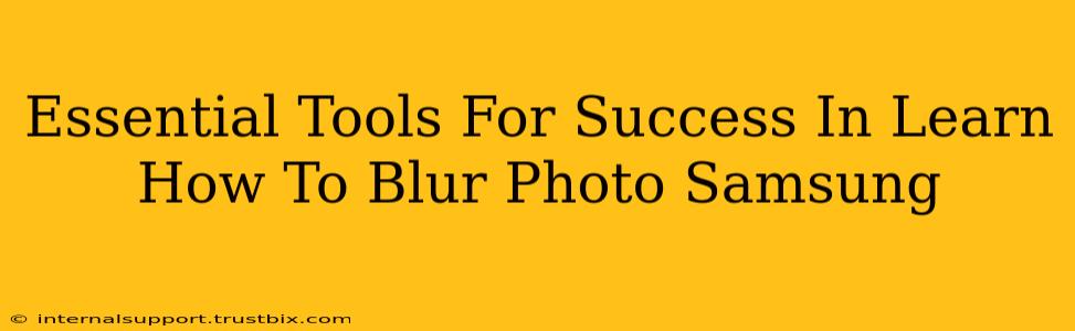 Essential Tools For Success In Learn How To Blur Photo Samsung