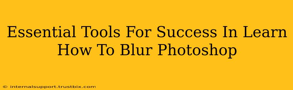 Essential Tools For Success In Learn How To Blur Photoshop