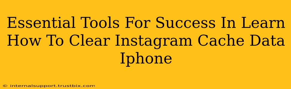 Essential Tools For Success In Learn How To Clear Instagram Cache Data Iphone