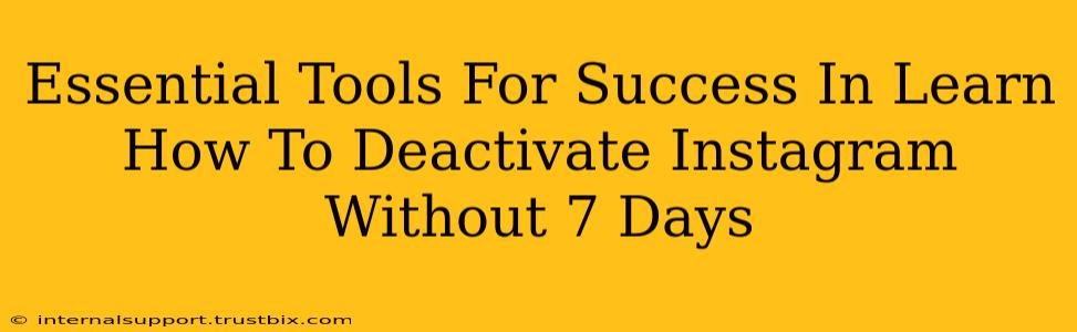 Essential Tools For Success In Learn How To Deactivate Instagram Without 7 Days