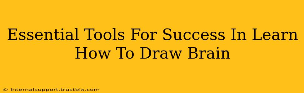 Essential Tools For Success In Learn How To Draw Brain