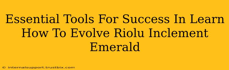 Essential Tools For Success In Learn How To Evolve Riolu Inclement Emerald