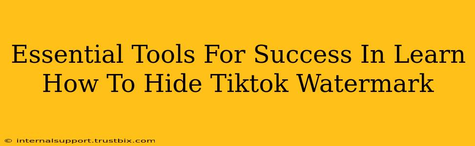 Essential Tools For Success In Learn How To Hide Tiktok Watermark