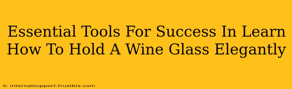 Essential Tools For Success In Learn How To Hold A Wine Glass Elegantly