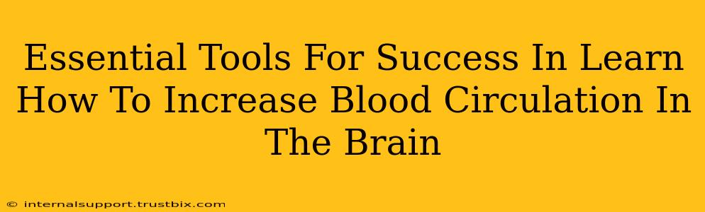 Essential Tools For Success In Learn How To Increase Blood Circulation In The Brain