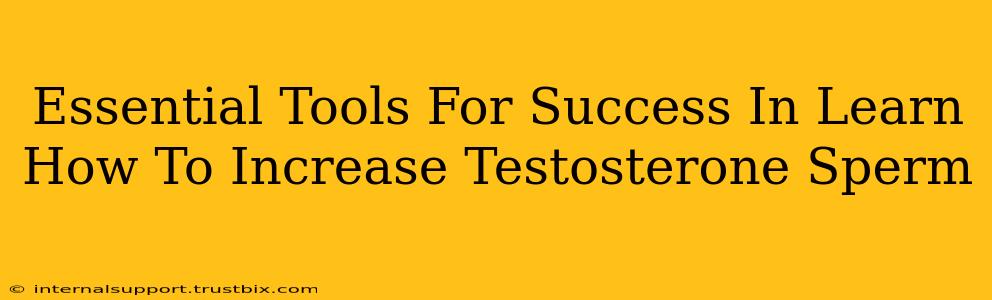 Essential Tools For Success In Learn How To Increase Testosterone Sperm