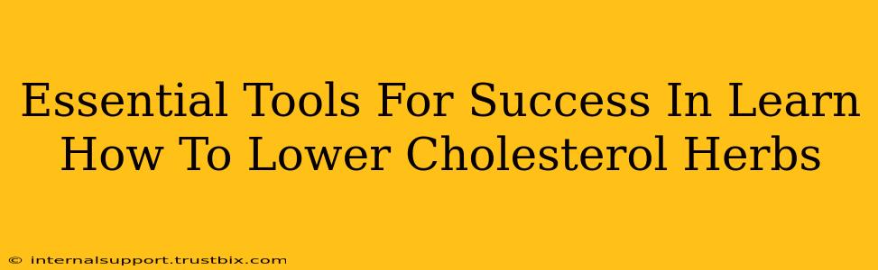 Essential Tools For Success In Learn How To Lower Cholesterol Herbs