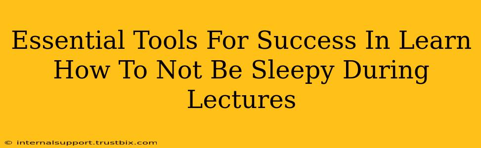 Essential Tools For Success In Learn How To Not Be Sleepy During Lectures