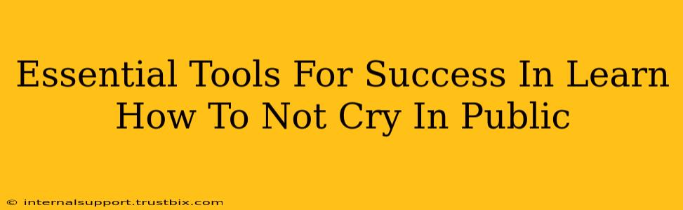 Essential Tools For Success In Learn How To Not Cry In Public